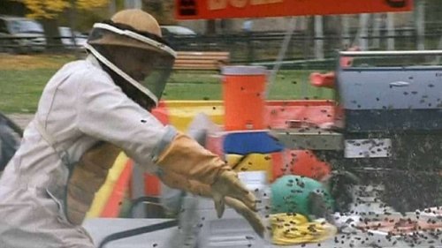 حمله زنبورها