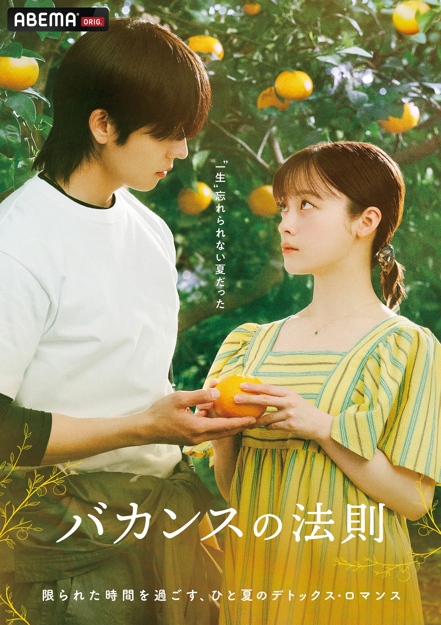 Vacance no Hosoku
