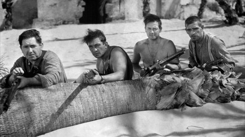 محافظ گمشده