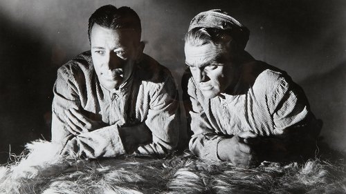 هر بامداد میمیرم