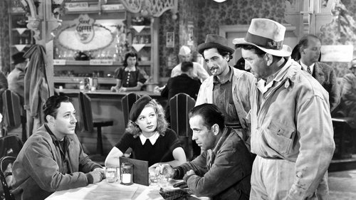 آنان در شب میرانند