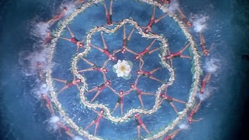 زیبایی شناگر