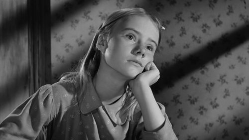 نهالی در بروکلین میروید