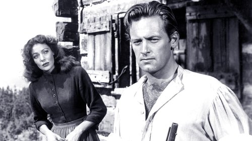 راشل و غریبه