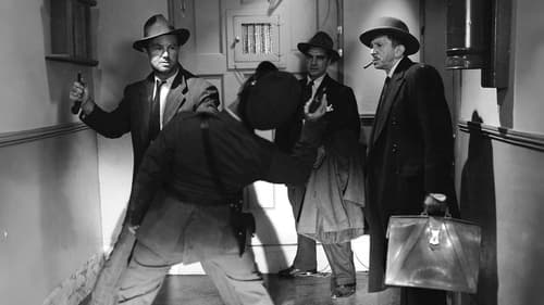 جنگل آسفالت