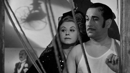 روشناییهای واریته