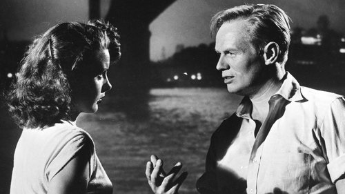 جیب بری در خیابان جنوبی