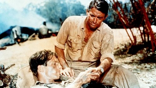 دشت ارغوانی