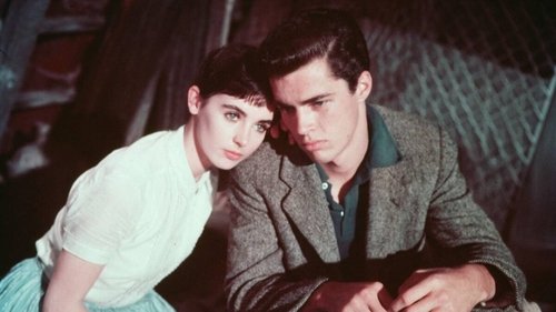 خاطرات آنه فرانک