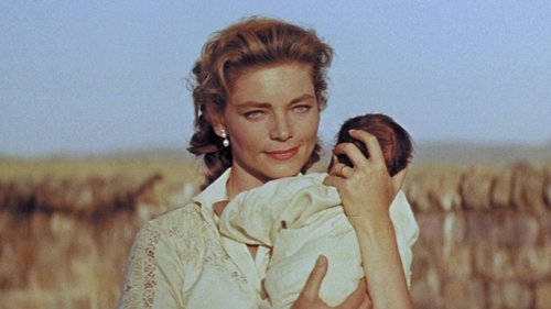 مرز شمال غرب