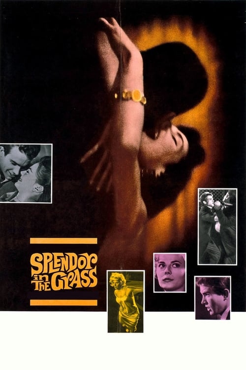 Splendor in the Grass 1961