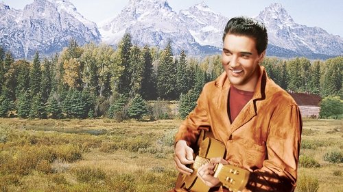 یک وحشی در کشور