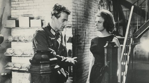 گوشهنشینان آلتونا