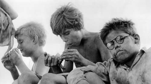 سالار مگسها