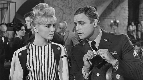 قصۀ پیش از خواب