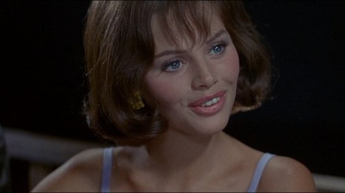 به دنبال روباه