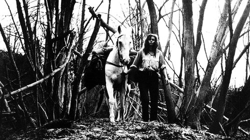 اواخر آگوست در هتل اوزون