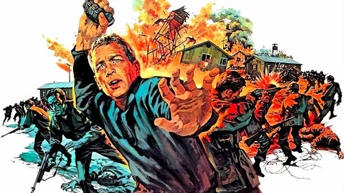 جنگ پنهان هری فریگ