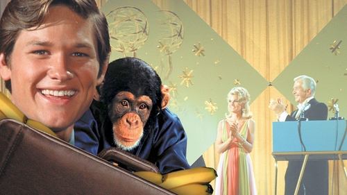 مجری پابرهنه