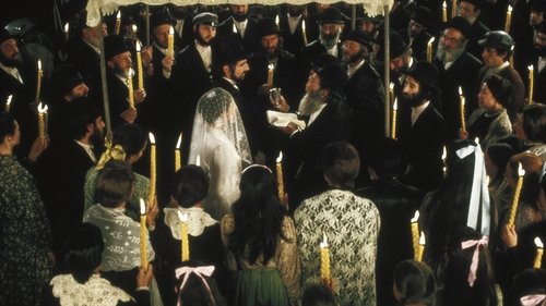 ویولنزن روی بام