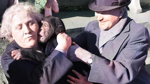 سرزمینِ سکوت و تاریکی