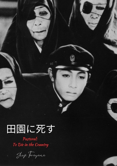 Pastoral Hide and Seek