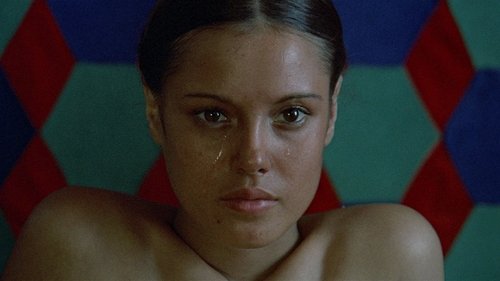 شب های عربی