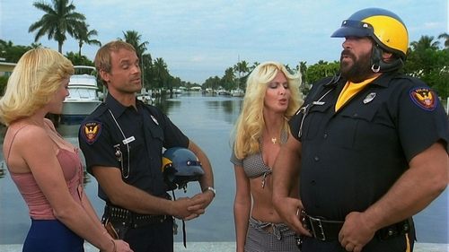 جنایت باسترها (دو پلیس زبل)