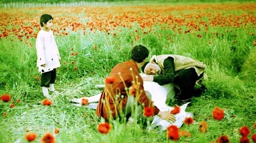 درخت آرزوها