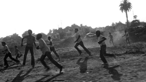 قاتل گوسفند