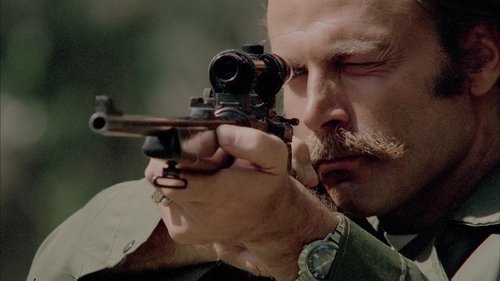 مسافر بین راهی