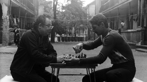 آشیانه خانواده