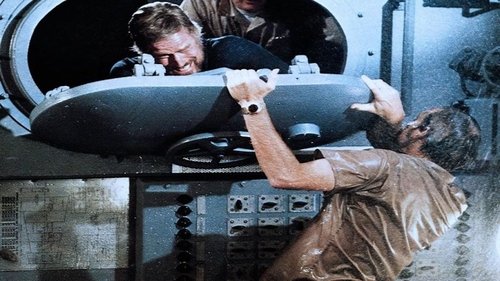 خاکستری لیدی دوون