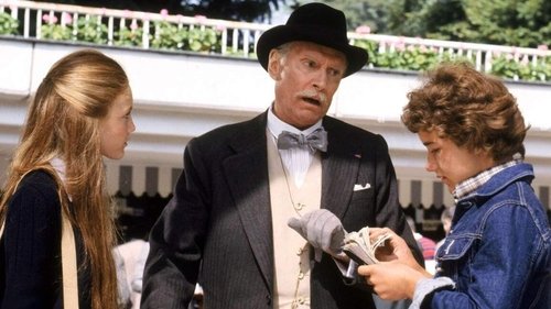 کمی عاشقانه