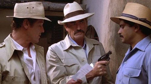 گرگ های دریایی