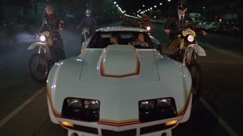 روباه های دیوانه