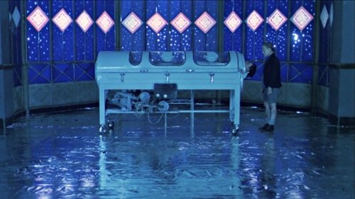 در یک قفس شیشه ای