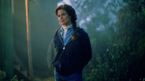 گوریلها در مه