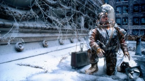 دوازده میمون