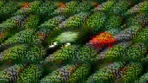 مریخ حمله می کند