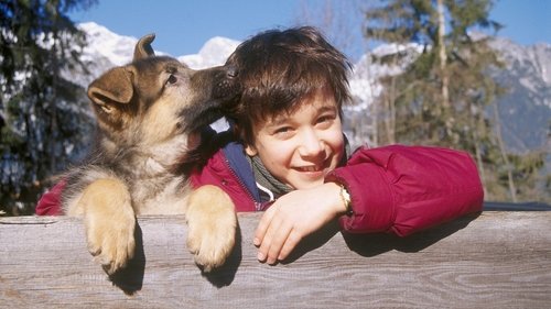 کودکی رکس: کمیسار کوچک