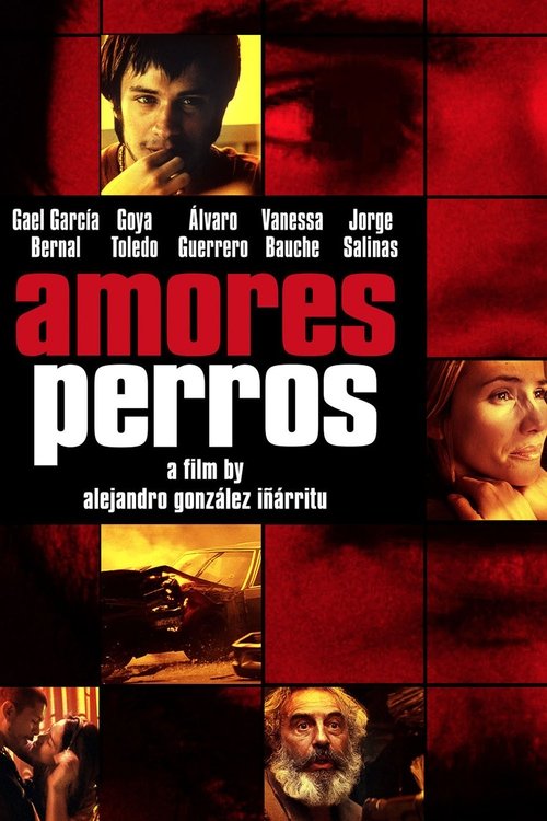 Amores Perros 2000