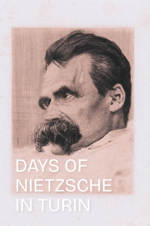 Days of Nietzsche in Turin 2001