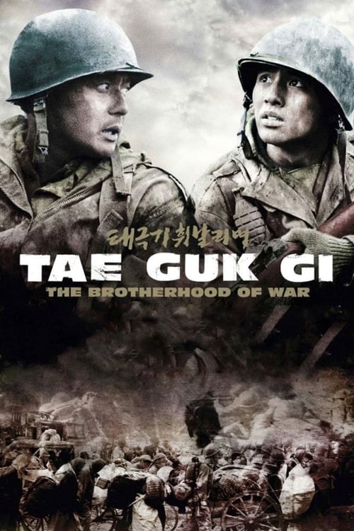 Tae Guk Gi The Brotherhood of War