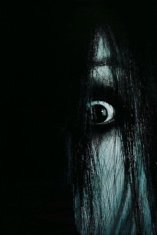 The Grudge 2004