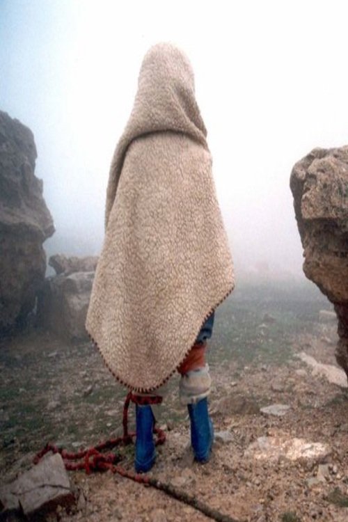 Turtles Can Fly 2004