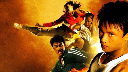 متولد شده برای مبارزه