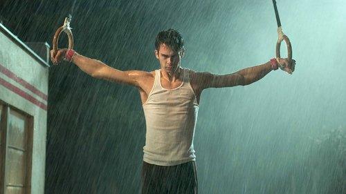 جنگجوی صلحطلب