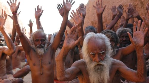 جیغ مورچه ها