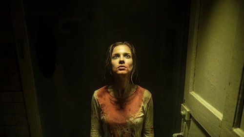 زیبای بی خواب